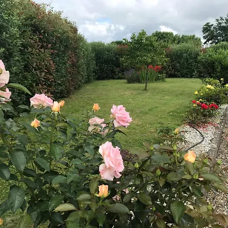 Le Des Pins - La Forge De