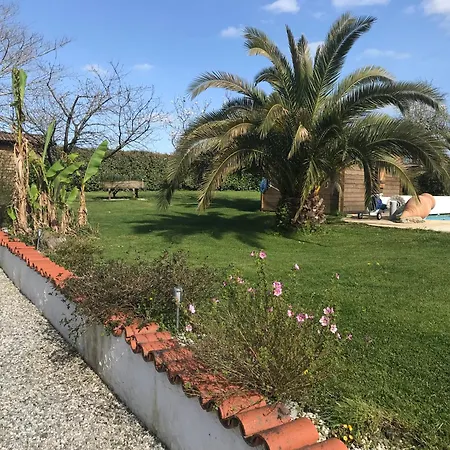 Le Des Pins - La Forge De * Clermont (Landes)