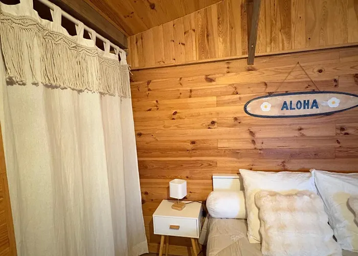 Le Des Pins - La Forge De Alpstuga